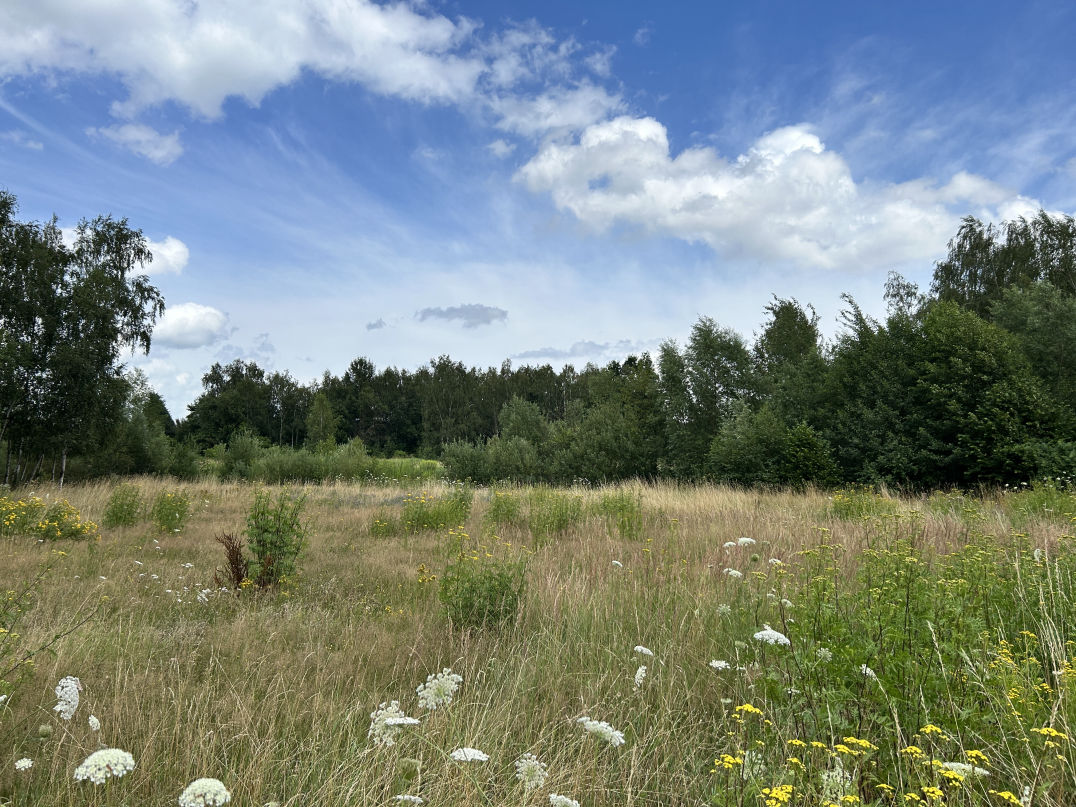Natur